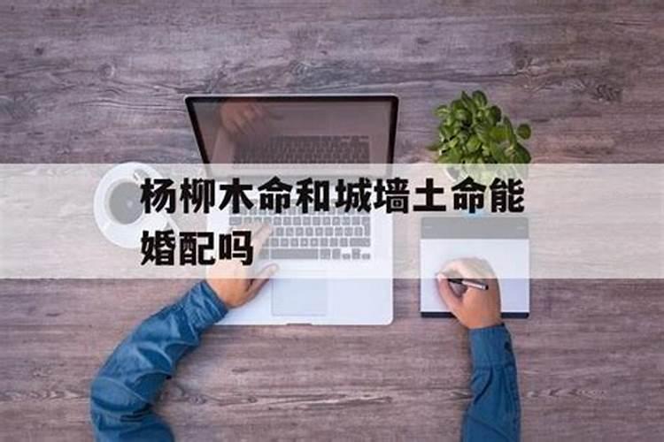 77年蛇女2025年运势完整版
