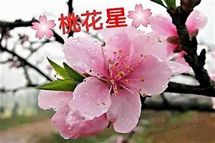 戴什么可以旺婚姻爱情
