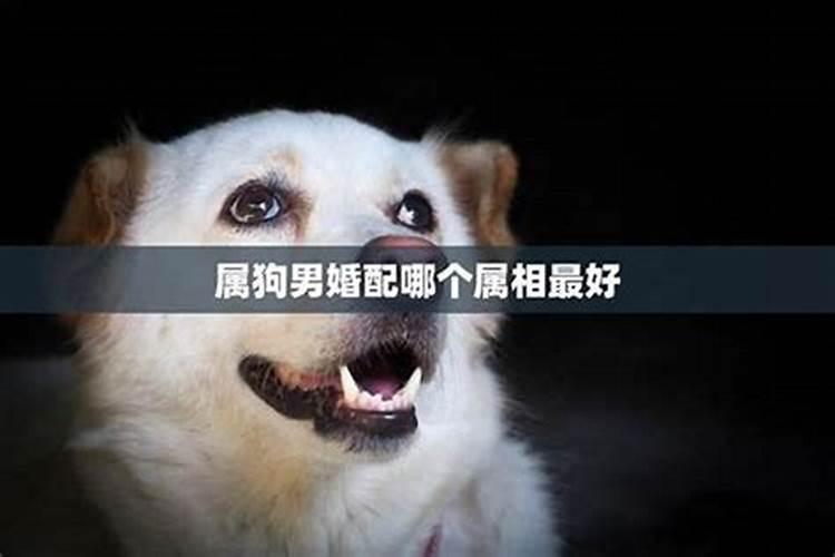 2025犯太岁的属相如何化解