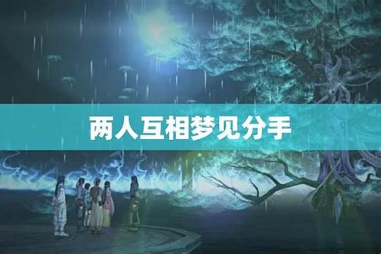 互相想念的人才会梦到吗？