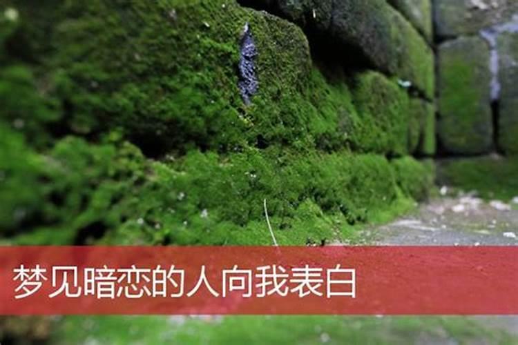 梦见陌生人向我表白我拒绝了的预兆