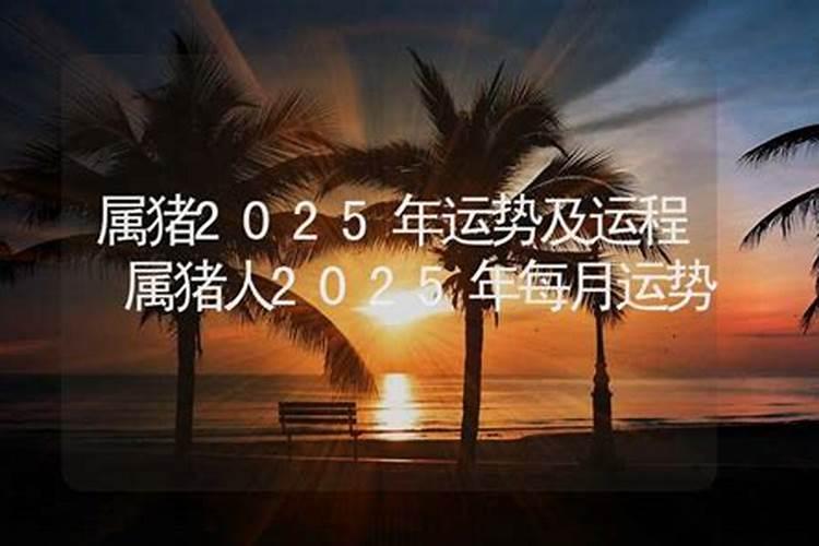 2025犯太岁最凶三个属相