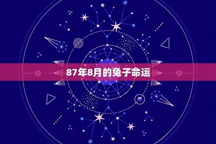 87年属兔人2024年每月运势