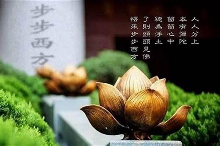 梦见姐姐剩一只脚了的预兆