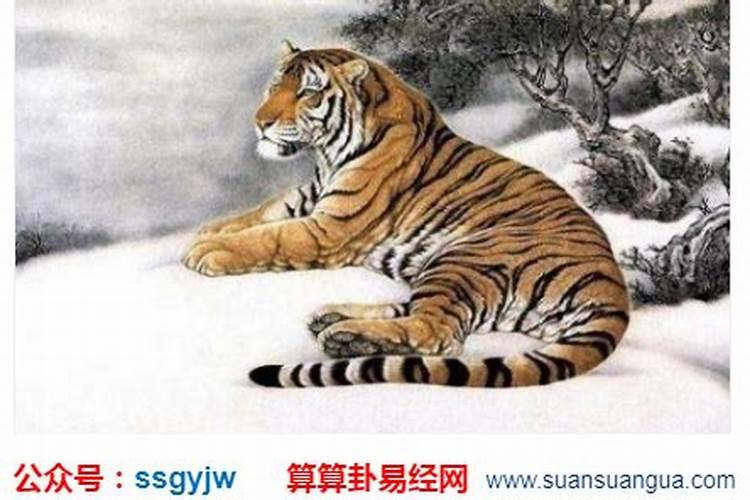 在重阳节英文用on还是at