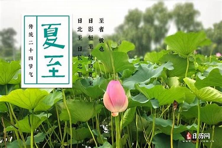 冬至扫墓带什么祭品