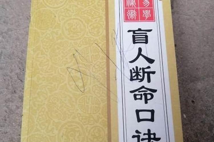 盲人算命师,最强算命师