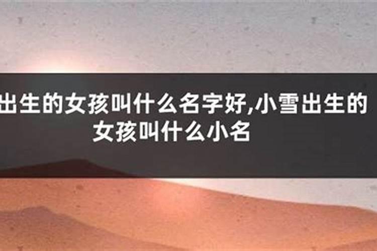清明节文明祭扫活动简报