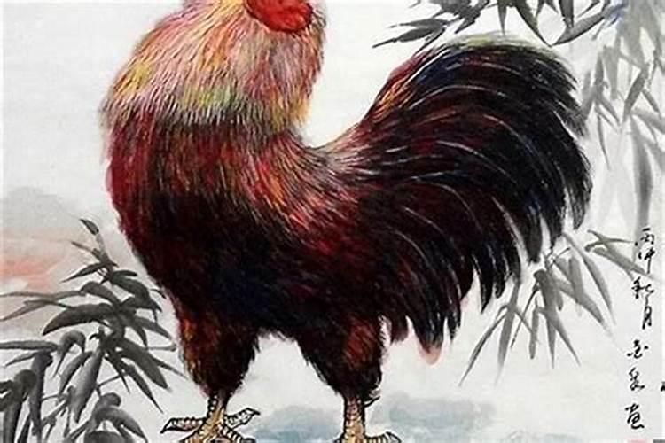 属鸡的本命年结婚好吗