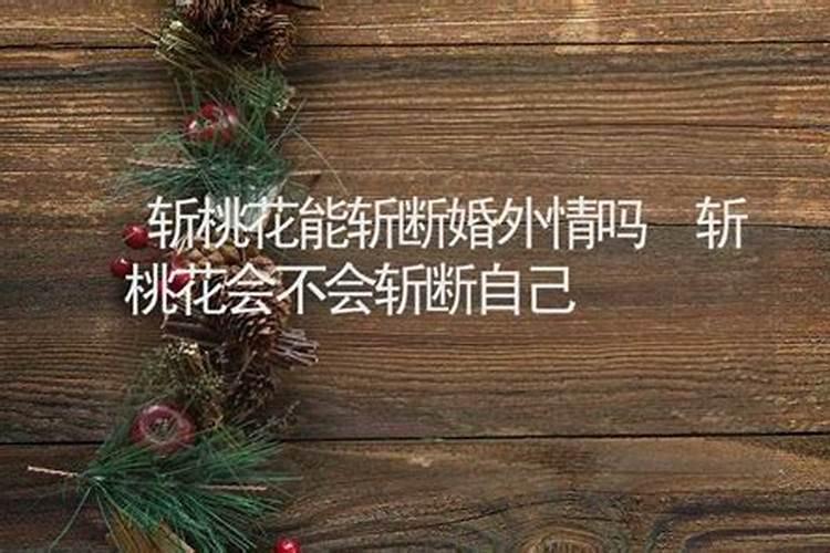 立秋处暑是什么生肖