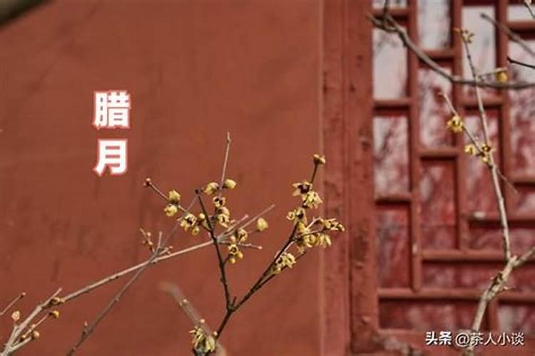 在线算命:详解八字之中的清跟浊