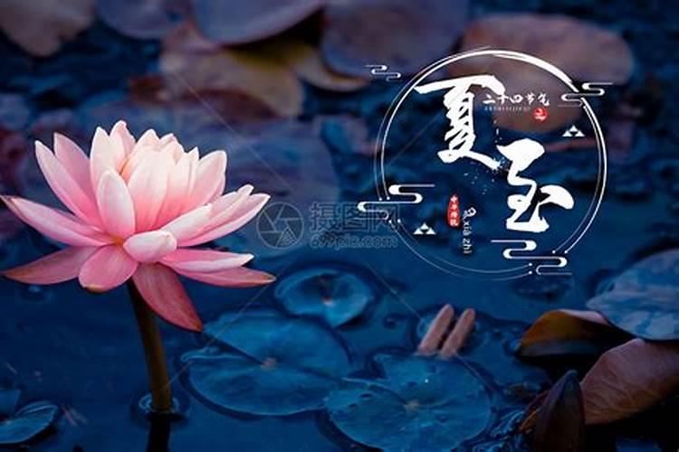 夏至节气的寓意和象征 夏至节气的风俗食物