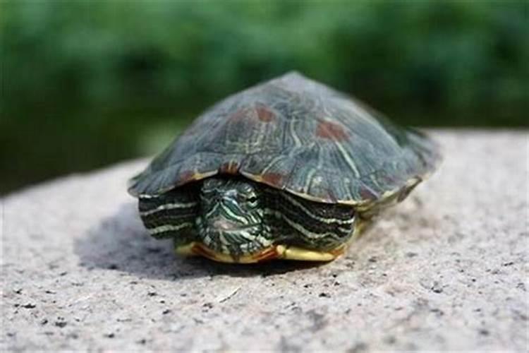 中元节是为了纪念谁？