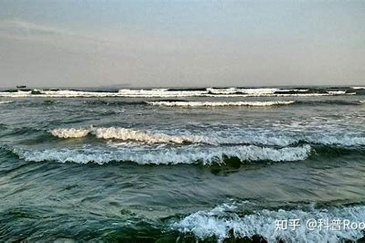 梦见大海涨潮又落潮的预兆