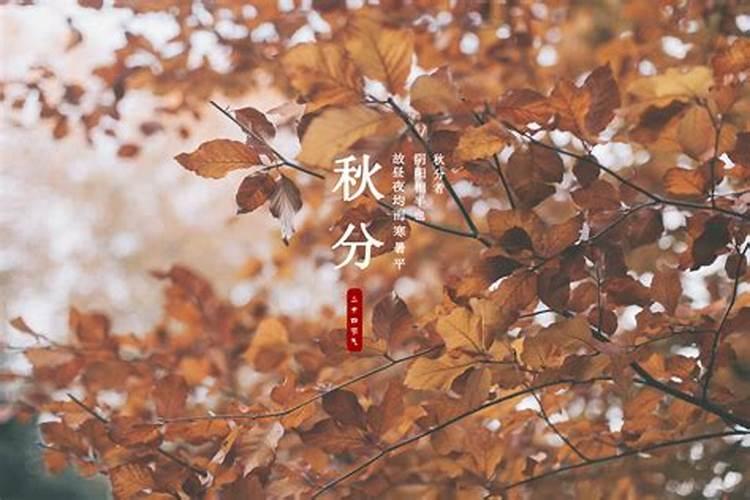 传统二十四节气与性格的关系