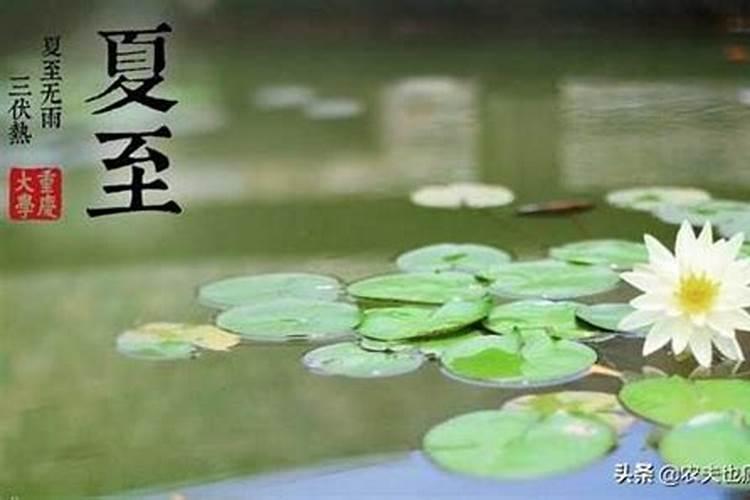 1982年农历12月17日是什么星座？