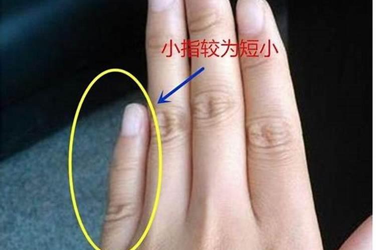 属羊犯太岁佩戴什么最好