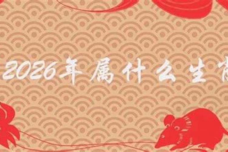 生辰八字 四柱全带午是什么意思呢