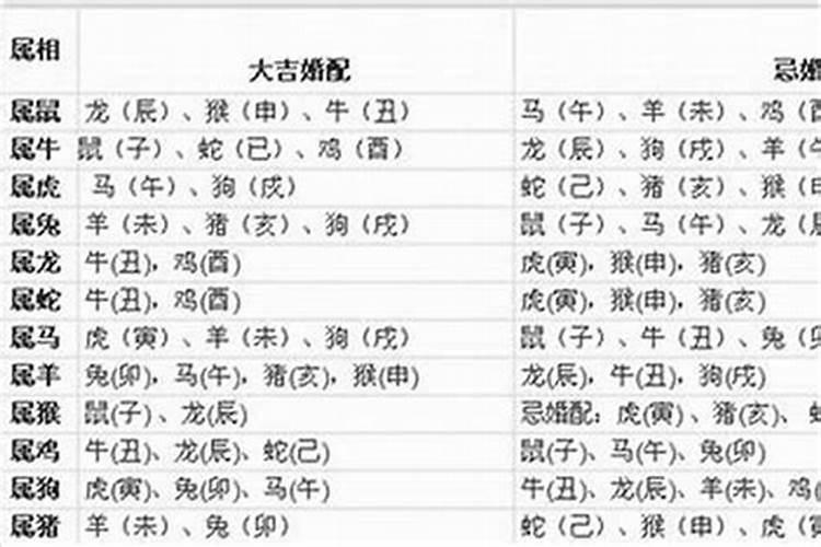 1972年属鼠人2025年运势运程每月运程