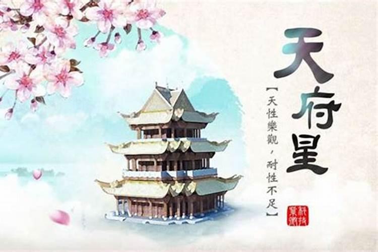 1975属兔女在2025年的每月运势
