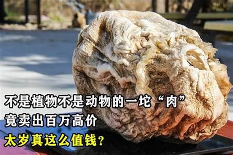 太岁是怎么形成的,石太岁的特征