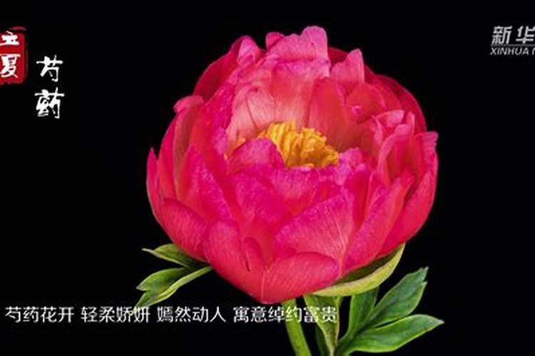仙话:出马文化三类仙缘之先天弟子