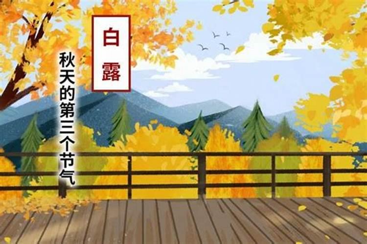 2025年74年属虎女的全年运势