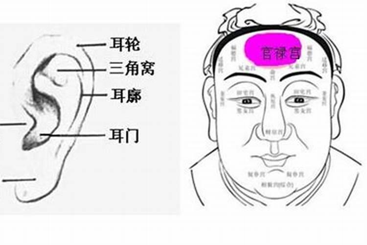 日后能当老板的八字有哪些特征