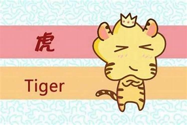 98年属虎的在本命年结婚好吗相合属相结婚有益处？