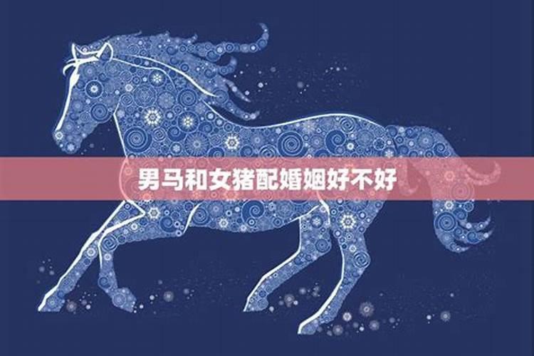 马猪属相婚配好吗,属马男和属猪女结婚好不好？