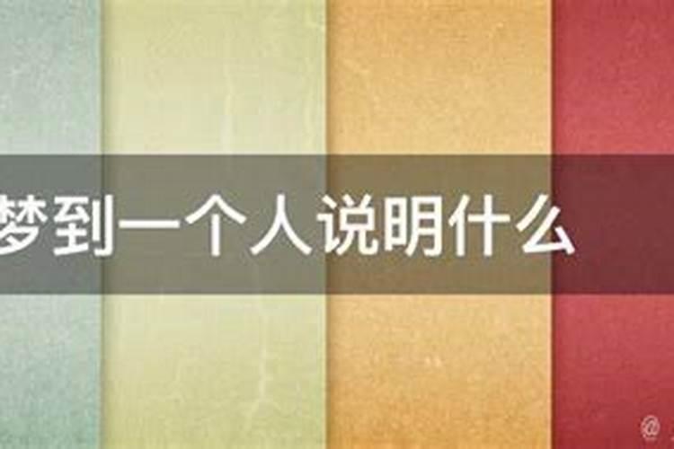 仓鼠喜欢吃什么树枝？
