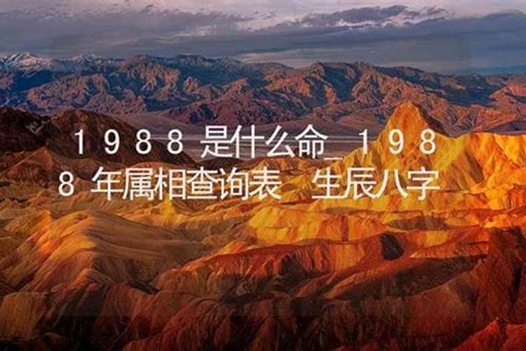 梦见想买烤红薯的预兆