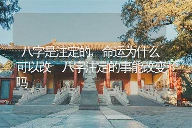 圣徒们再来看看算命的问题!