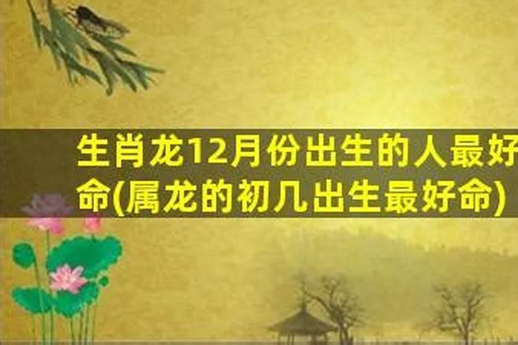 74年属龙2024年犯太岁要注意什么？