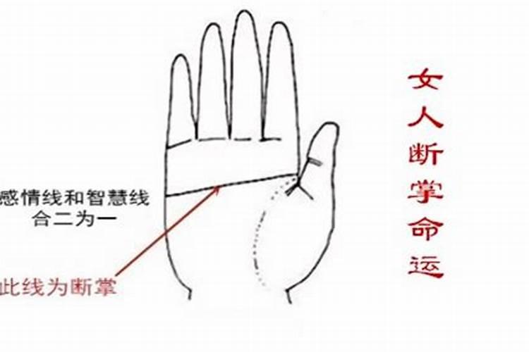 82年的狗2025年运势