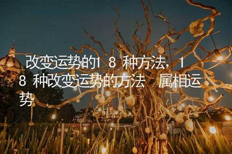 1981年属鸡2025年每月运势运程