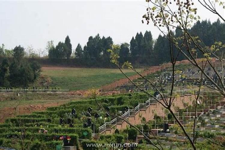 梦见红色的花轿还有很多花圈代表什么？