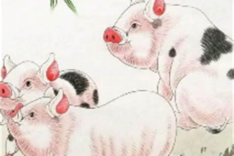 1995年属猪人一生运势如何,95年属猪的一生运势
