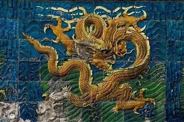 76年的龙和82年的狗合婚吗？
