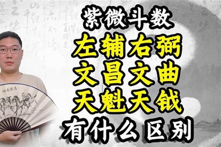 紫微斗数之六辅星———文昌星,文曲星