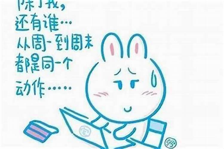 养狗的风水禁忌