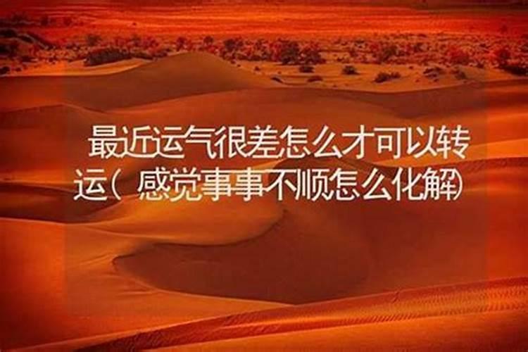 山东寿光特产:羊口老咸菜