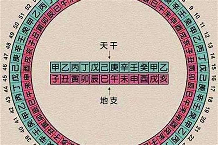大运看天干还是地支
