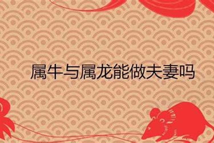 1997年属牛男和2000年属龙女婚姻怎样？
