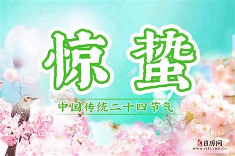 生肖兔哪一年是发财年