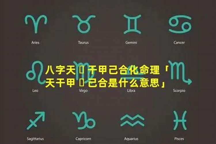丙寅年丙申月甲寅日男与己巳年己巳月丁亥日女八字合吗？