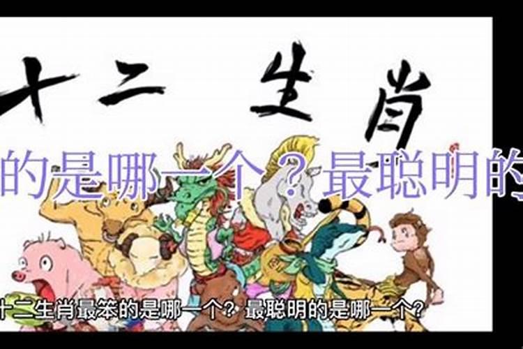 土命人适合佩戴什么