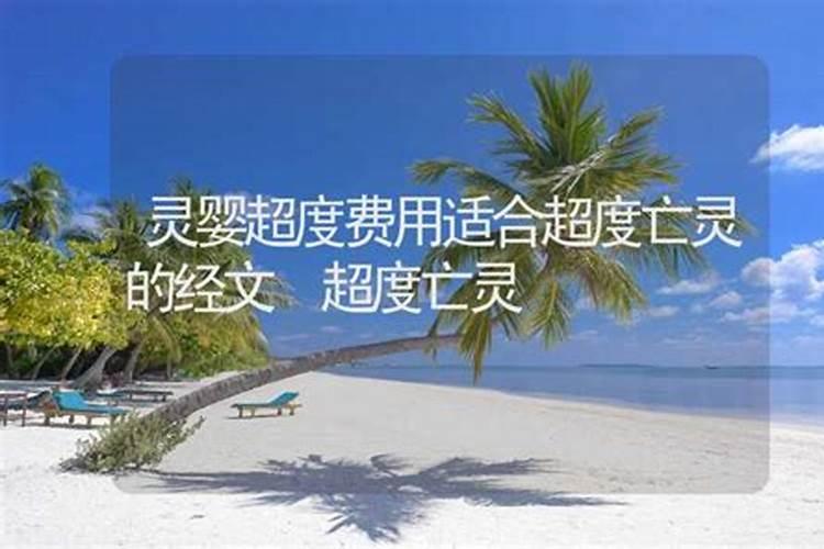 1994年属狗今年的姻缘