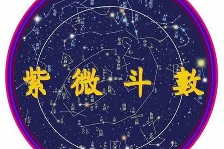 这个紫微斗数怎么看？