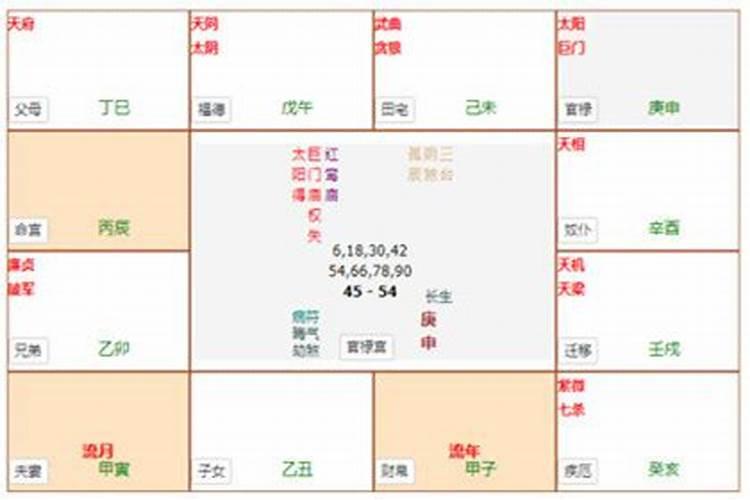 大师,你能帮我用紫薇算下我的健康、运势、事业和感情方面的吗？